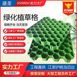 植草格塑料草坪格停车场专用消防通道护坡园林5公分平口植草格