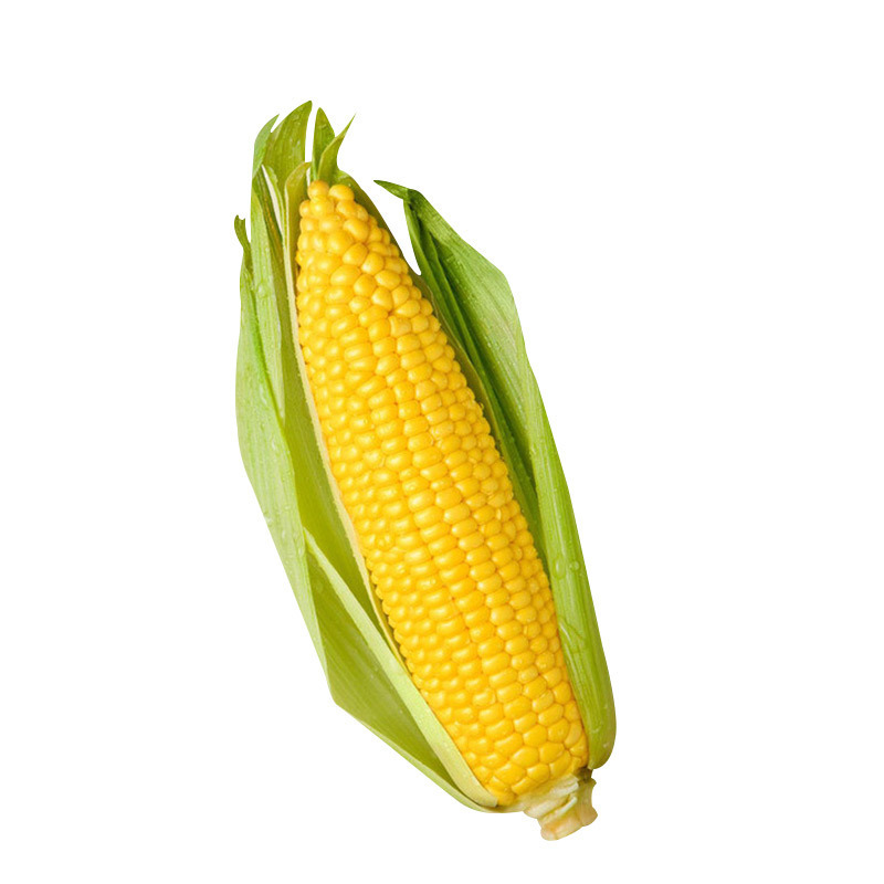 智贝主图_4黄糯玉米种子水果玉米种籽超甜粘生吃鲜食甜加糯高