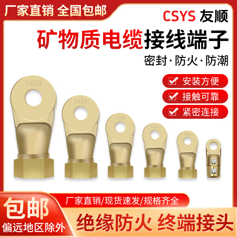 BTTZ矿物质电缆线绝缘接线端子1*6 1*16 1*25 1*35 1*240铜鼻子