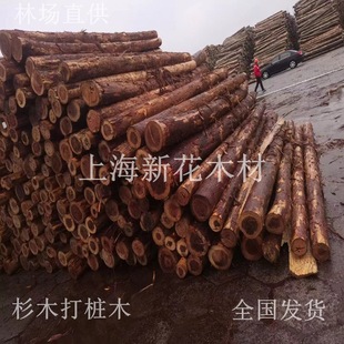 ���|ɼľ���g����4�� ɼľԭľ �V�|ɼľԭľ ɼľ�Aľ�� ��Ѵ��