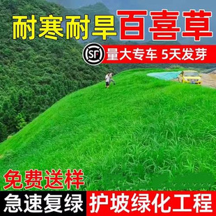 �o�°�ϲ�ݲ���߅�¾G�����~ȸ���ͲݷN�ͺ��͟�ӵ̹�����ƺ�N��