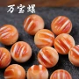 万宝螺文玩手串隔珠