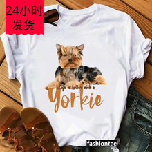 ��Ȥ�Ĺ�ӡ��ͼ��Բ�����T����ߴ績Ů��ʱ�ж�ͯT��T��