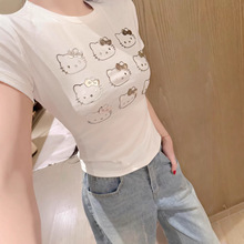����L~Kitty؈��C�y����T��Ů 26ss�ļ��¿������@�ݶ̿�����