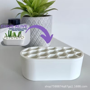 �羳���� Scallion Regenerator�²������Ӽ�С�[��С�[������