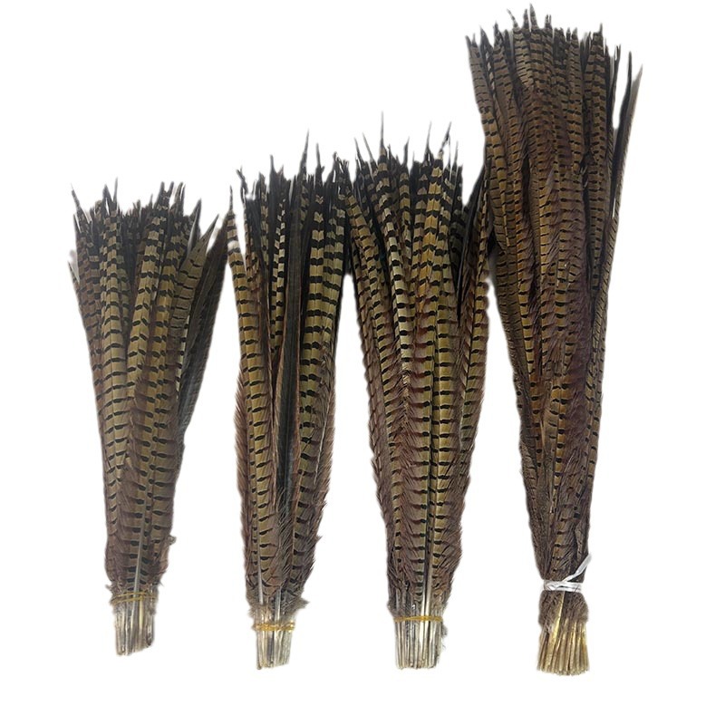 Fábrica al por mayor pelo de faisán 10-90cm cola de faisán pluma de bricolaje danza plumas de faisán cola de gallina palo de gato divertido image 3