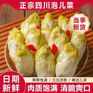 �Ĵ��خa�݃���������rˬ�ڂ��y�ز������ݲ��r������̲�