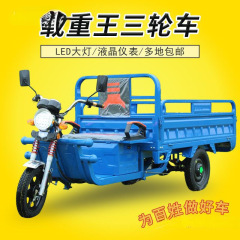 新国標電動三輪車積載王成人引荷三輪速達車新型家庭用電気自動車農用車