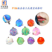 F136�Ѳ��˱߰ı�����ƽ�״������Ƕ�G23�ѺϽ𴩴���Ʒ�滻ͷ