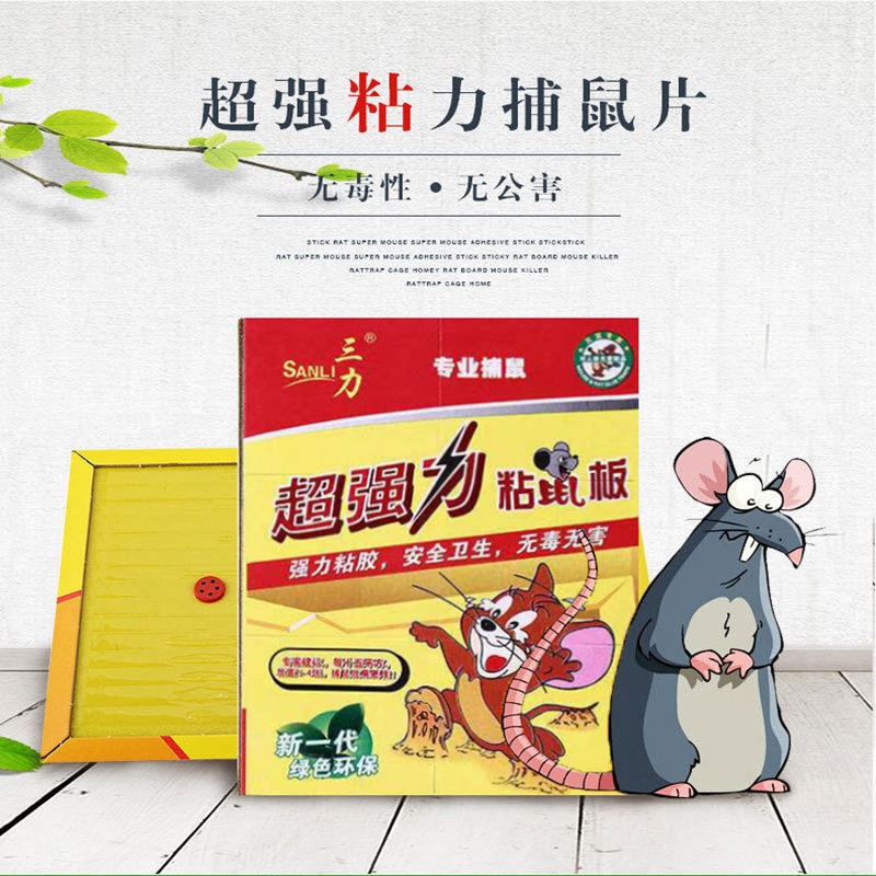 14640388712_581667937_副本