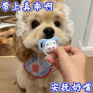 �ļ��¿����Ȯ�������칷����������С��С��Ȯĥ�����С��܇