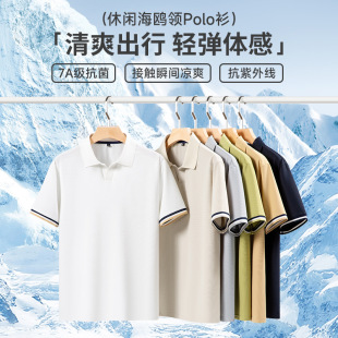 ���\�����С��p�ݺ��t�I����POLO����2026�ļ��ߏ������״���T��