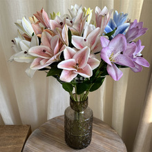 ����3�^��ٺ�3D��ٺϷ��滨��c�廨�ָмٻ��Ҿ��bzӰ����