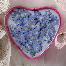 干花;贺卡;相框、画框