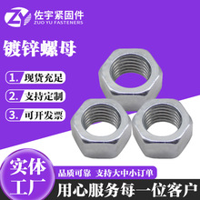 �S�ҬF؛��\������ĸ������������ĸ�i�om6������ĸ��\��ñ�ݼy