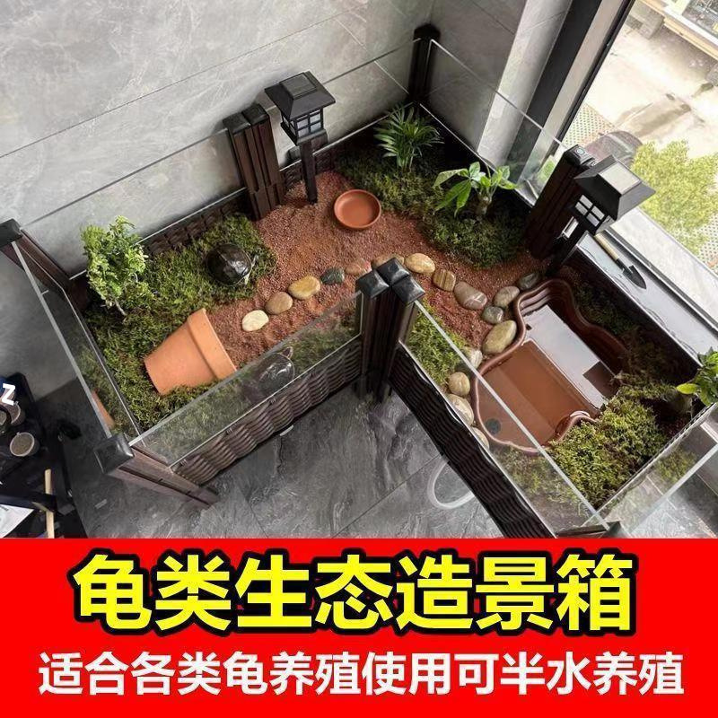 黄縁亀飼育箱、安源台縁閉甲亀苗、造園植物生態環境、亀専用槽飼育箱|undefined
