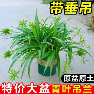 ���~��߅���m���ٴ����҃ȴ����������Կ͏d�ļ����������՚�ֲ��