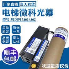 ΢�ƹ�ĻWECO-917A61-AC220 94���� �t�⾀�Б��� ���ͨ���͹�Ļ