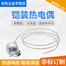 K͟żWRNK-131zbضȂ̽^ɏPT100y