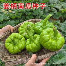 �����ϷN�����С�ϹϷN���S�a�׷N�����＾���ٹ��ļ��߲˷N��