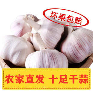 �ɴ����^10���ԷN����轿h����2024�����^����5����Ƥ��Ƥ1��3��