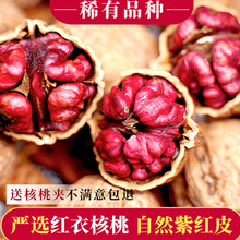 新疆红皮核桃红衣核桃红色核桃2026新货红核桃零食孕妇即食批发