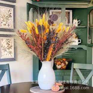 Amazon Hot Sale Bohemian Wedding Home Dried Flower bouquet Small reed whisk rabbit tail grass small pampas grass