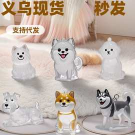 透明猫毛狗毛收纳盒吊饰猫咪毛发存放胶囊纪念收藏包包装饰钥匙扣