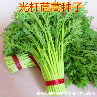 ��U����N�����L���w�S���r������Է��߮a���ļ��ɷN�߲˷N��