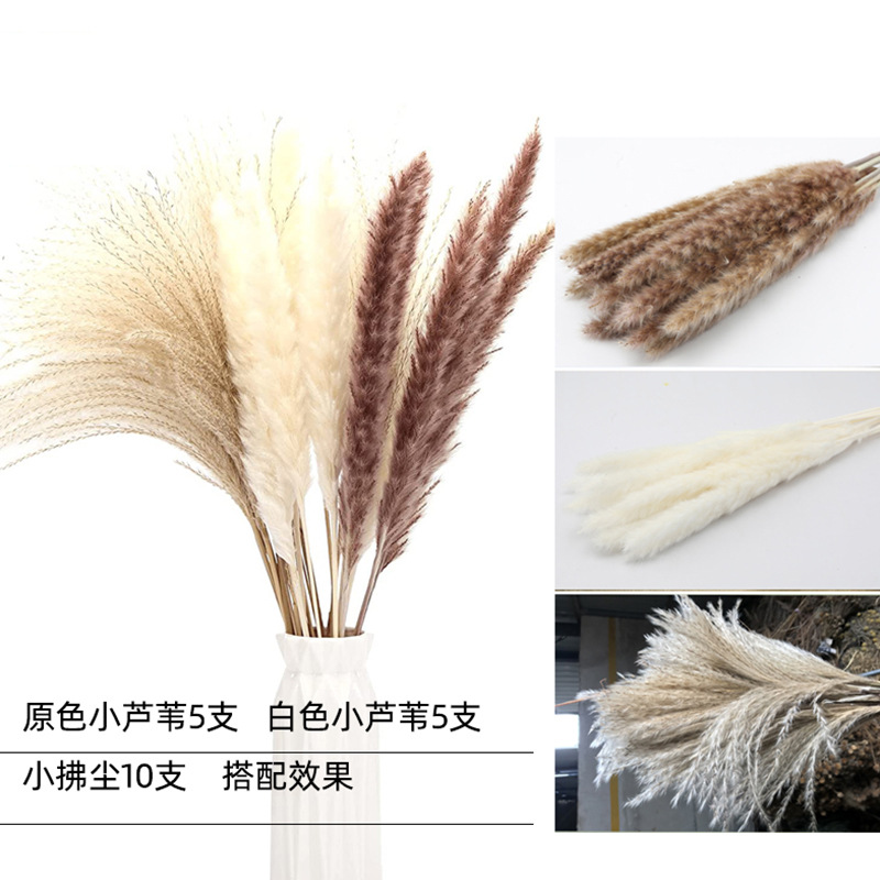 Amazon Hot Sale Pampas Grass Small Reed Rabbit Grass Whisk Nordic Style Home Decor Mix And Match Dried Flower Bouquet