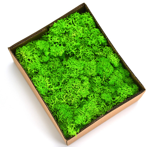 Magic flower immortal flower moss boxed 100G/box flower material package diy dried flowers real flowers plant wall green plants fluffy