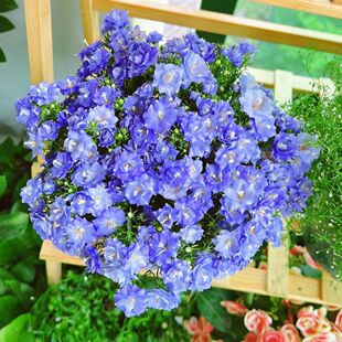 �W�t�����L⏻���¶���Ժ��B�ÿ��Ļ��������k�����̨���]�B