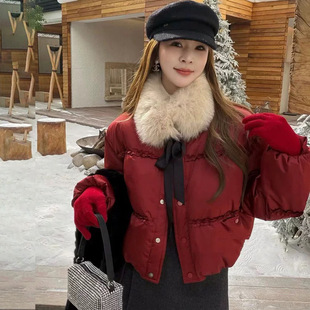 �����}�Q�t�r����q��Ů�̿�2025�����¿ů�Ӻ��ë�I�@������