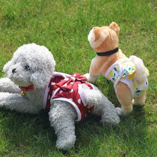 Физиологические штаны для собак маленькие собаки против домогательств спокойные штаны Тедди сука менструальные подгузники гигиенические Штаны для домашних животных