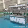 自动花生油山茶油灌装机