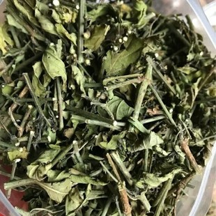 ���Ұ�����Q�`֥����؛���l�ɴ�۸�؛�o�� �_�� �ɲ� ��ș��