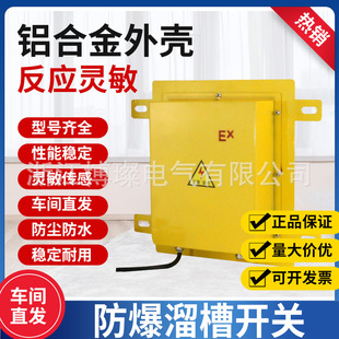 KBX-220 DS Explosion-proof Slotted Blockage Detector EXLDM-Y Square Anti-blocking Material Coal Blocking Switch BLDM-x