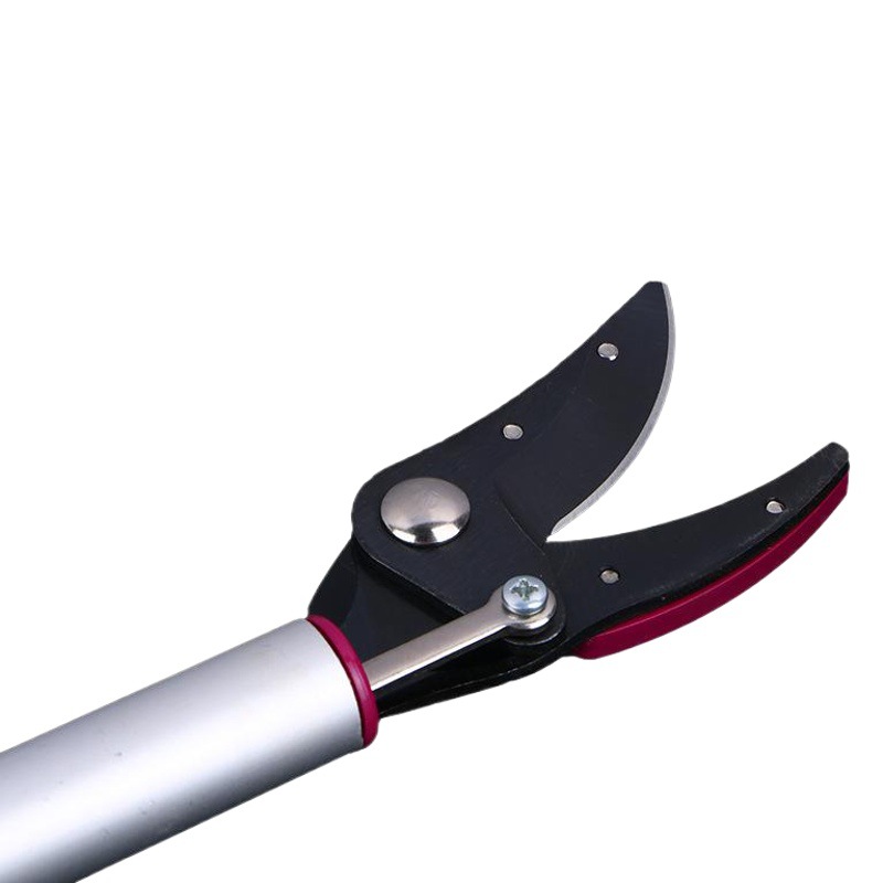 Árbol frutal de alta rama tijeras curvadas de extensión de gran altitud picking tijeras de rama gruesa poda de jardín cosecha de fruta de doble uso tijeras de podar