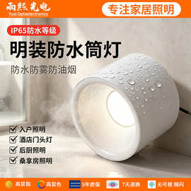 明装防水筒灯户外商铺门头灯酒店入户大门屋檐阳光房雨棚吸顶射灯