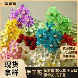 紫罗兰永生花木片花配花干花木花文心兰果壳花手工花千日红瓜子花