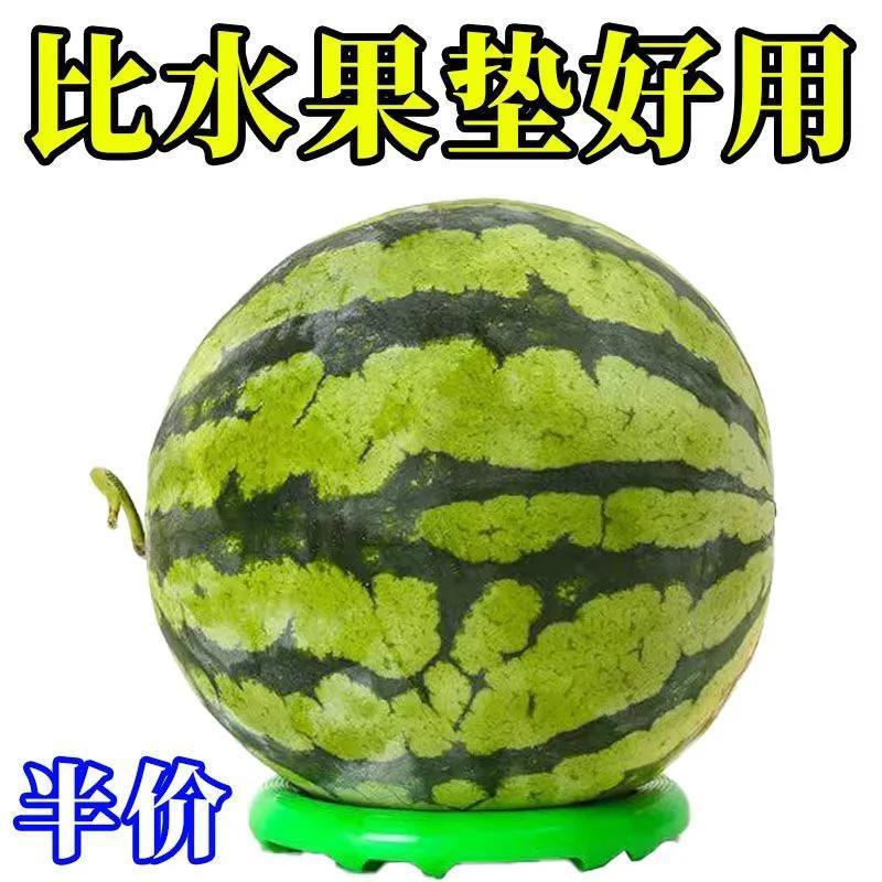 소형 과일 와셔【15cm】