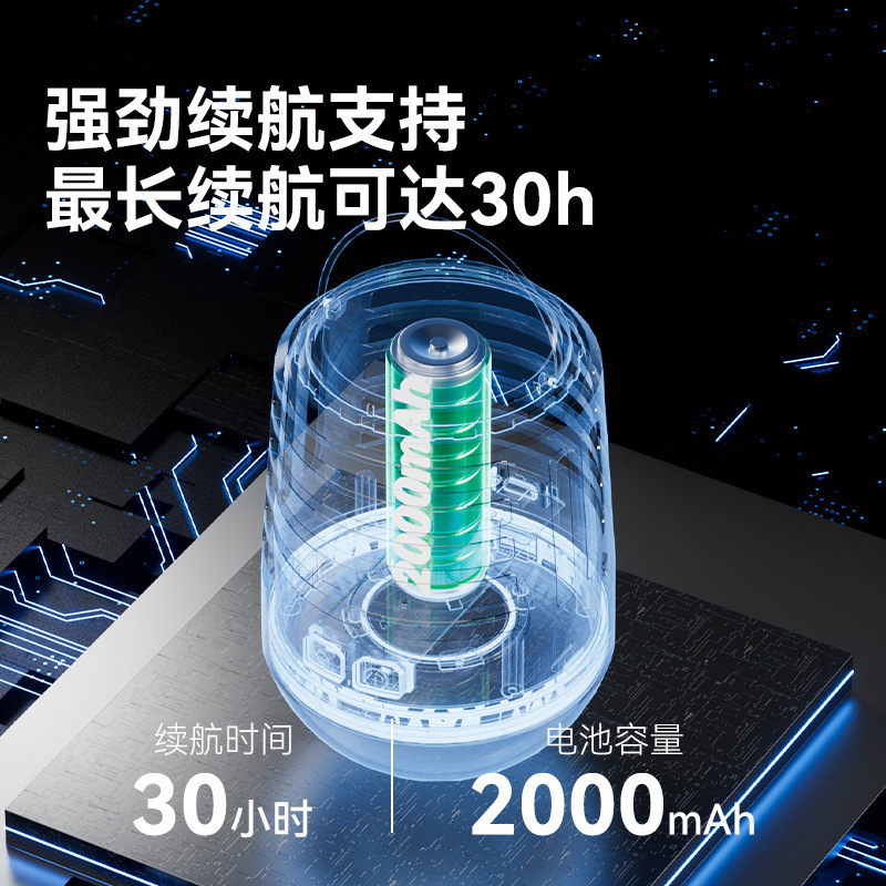 Blackdog黑狗户外露营Led灭蚊灯电击灭蚊灯多功能氛围驱蚊灭蚊器|undefined