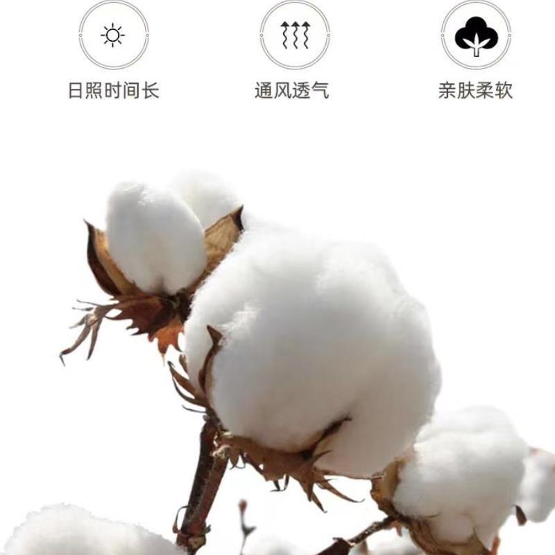 衣服收纳箱整理师专用甄选新疆真棉麻无异味钢架强承重双窗整理箱|undefined