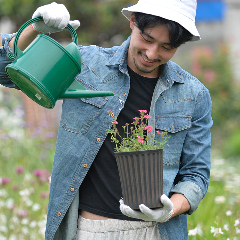 Venta al por mayor retro estilo europeo galón maceta de plástico maceta hogar Hortensia Rosa alambre Lotus resina maceta