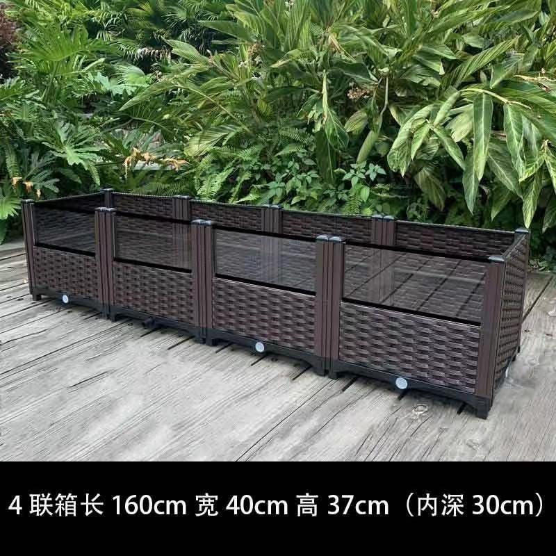 黄縁亀飼育箱、安源台縁閉甲亀苗、造園植物生態環境、亀専用槽飼育箱|undefined