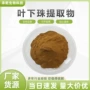 水溶阴阳珍珠草叶下珠提取物