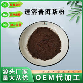 速溶普洱茶 云南普洱风味茶粉 普洱提取物 普洱茶喷雾干燥粉 现货