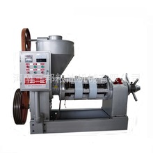 YZYX95WK型螺旋榨油机 大豆花生榨油机绵阳榨油机