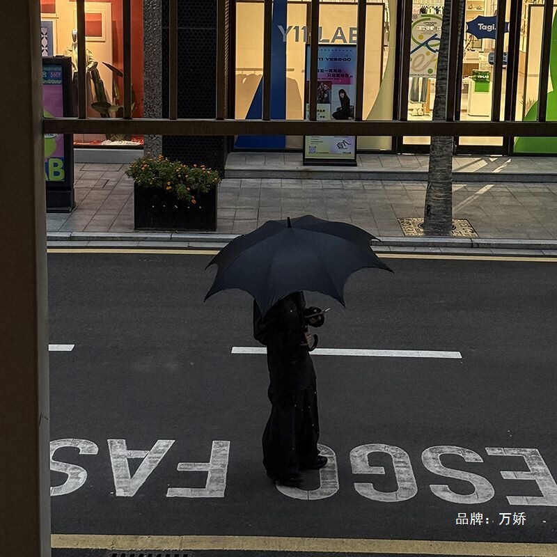 Gothic Long-Handled Umbrella, Dual-Purpose for Sun and Rain, Dark Style Umbrella for Women, Automatic Sun Umbrella with Black Coating for Sun Protection
