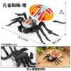 2878 Peacock Spider (Orange)